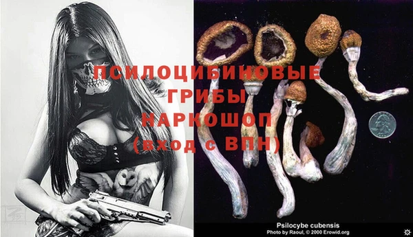 хмурый Медногорск