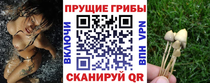 Купить где  Чишмы  Галлюциногенные грибы Magic Shrooms 